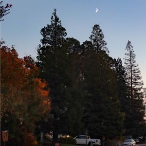 Meet your Posher, Hailey